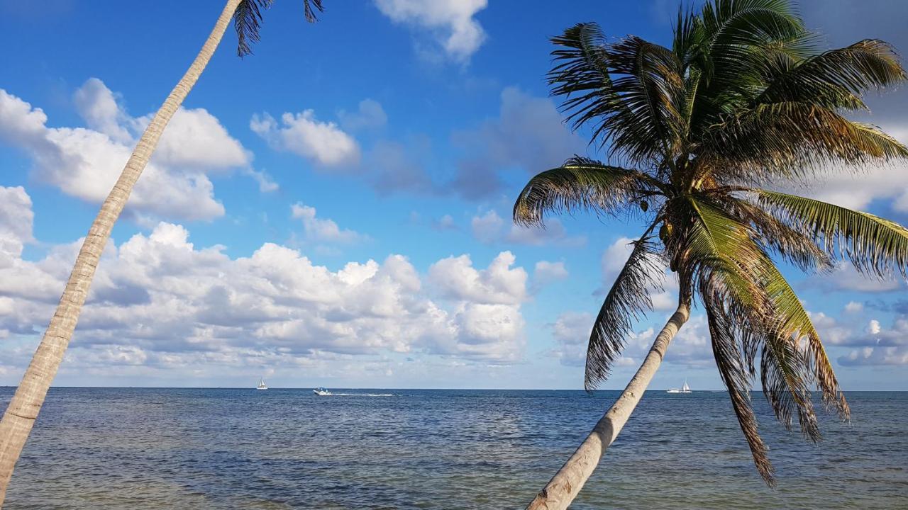 Royal Caribbean Resort San Pedro  Exteriör bild
